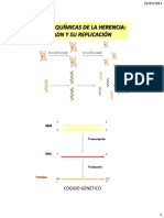 Teorico 17 ADN y Su Replicacion