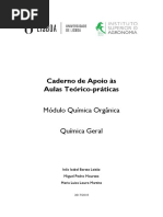 Caderno de Aulas Praticas - QG