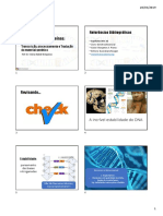 Do DNA para as proteínas: transcrição, processamento e tradução