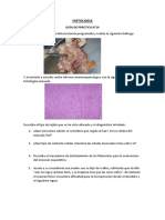 Histología guía práctica tejidos musculares
