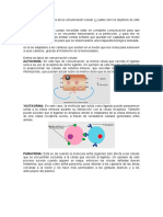 Consulta Previa 1