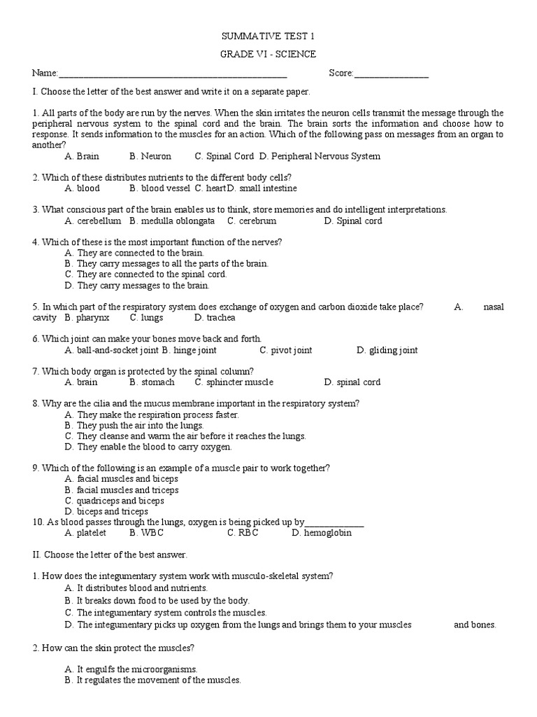 Grade VI Science Summative Test | PDF | Human Body | Nervous System