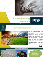 Contaminacion Primaria y Secundaria