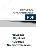 8.-PRINCIPIOS-FUNDAMENTALES