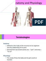 Human anatomy and physiology overview