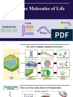 Biological Molecules