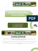 Presentacion Insecticidas