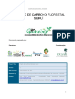 PCFS PDD Portugues V1