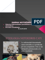Sarna Notoedrica Presentacion