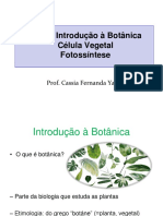 Introdução à Botânica: Células Vegetais e Fotossíntese