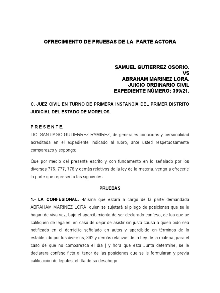 Ofrecimiento de Pruebas de La Parte Actora | PDF | Justicia | Crimen y ...