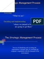 The Strategic Management Process: Assessing