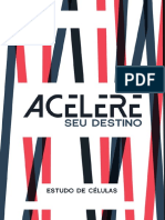 Acelere Seu Destino