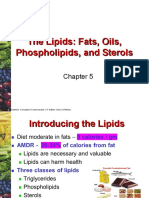 Lipids Chapter Summary: Fats, Oils, Phospholipids & Sterols