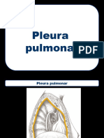 10 Pleura Pulmonar