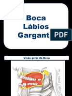 11 Boca Lábios e Garganta