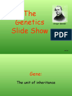 Genetic Terms and Punnett Square