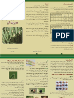 آفت سن، مشخصات و راهکارهای مدیریت آن