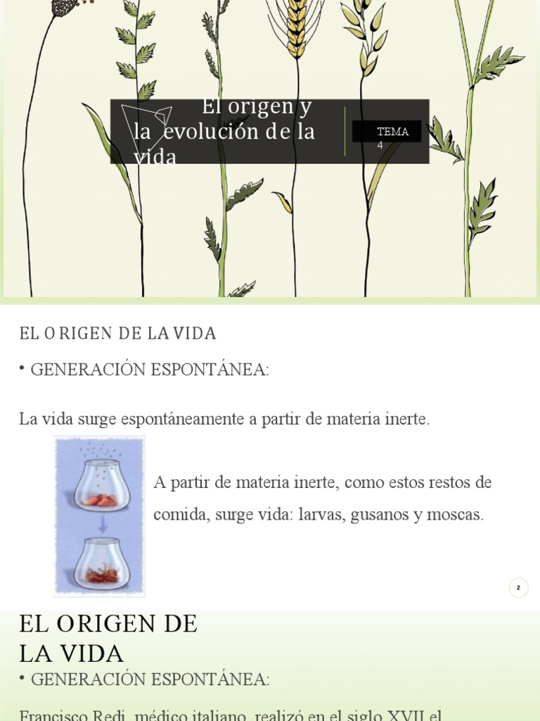 Teorías sobre el origen de la vida | PDF | Evolución | Seleccion natural