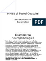 Dokumen - Tips - Mmse Si Testul Ceasului