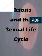 Meiosis and The Sexual Life Cycle Reviewer Notes