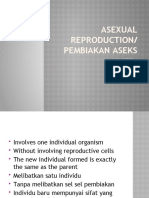 Asexual Reproduction/ Pembiakan Aseks
