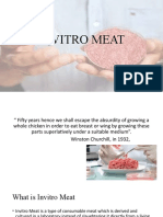 In-Vitro Meat