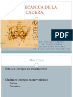 Biomecánica de la cadera: movimientos, estructuras y factores de estabilidad