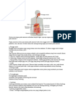 Tugas Biologi 1