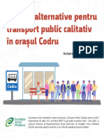 Cercetarea Transportului Public În Orașul Codru