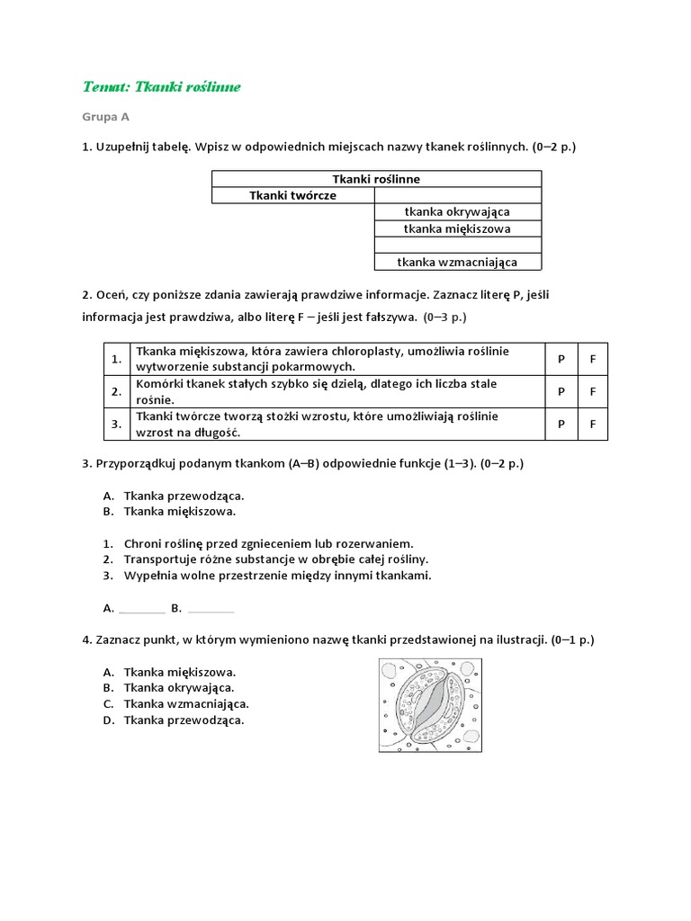 Tkanki I Organy Roślinne Sprawdzian Klasa 5 Nowa Era Kartkowka Tkanki Roslinne | PDF