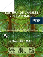 Presentación CANALES Y COLATERALES 2021 (SEMINARIO MARZO) No. 1