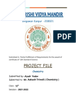 Maharishi Vidya Mandir: Project File