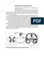 SUSTANCIA BLANCA Y SUSTANCIA GRIS