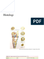 Histologi Urologi