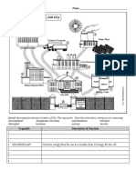 Cell City Worksheet Name