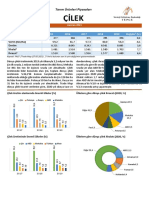 Çilek, Haziran-2021, Tarım Ürünleri Piyasa Raporu, TEPGE
