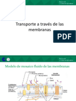 Transporte 2022