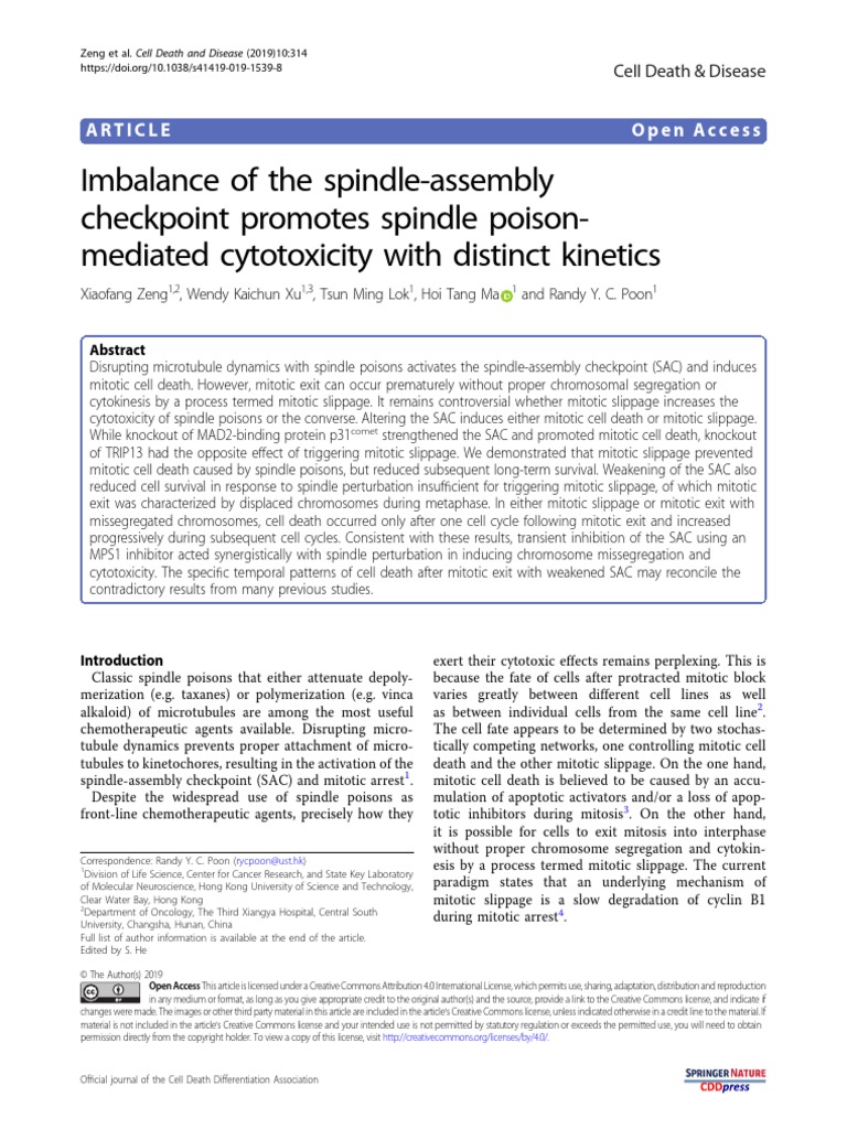 Imbalance of Spindle Assembly Checkpoint Promotes Spindle Poison