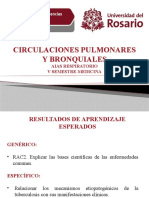 01) Circulaciones Pulmonar y Bronquial 2020-II