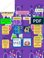 Mapa Conceptual-Clasificación de La Materia