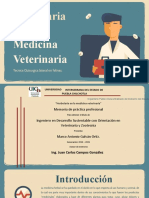 Herbolaria veterinaria lateral