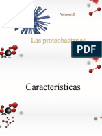 Las Proteobacterias