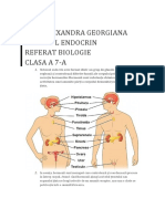 Gîta Alexandra Georgîana Sîstemul Endocrîn Referat Bîologîe Clasa A 7-A