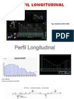 Perfil Longitudinal