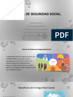 SISTEMA DE SEGURIDAD SOCIAL 