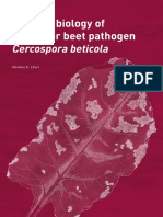Effector Biology of The Sugar Beet Pathogen Cerco-Wageningen University and Research 453825