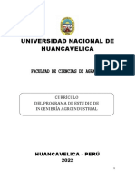 DISEÑO CURRICULAR - Ingeniería Agroindustrial - UNH - 2022