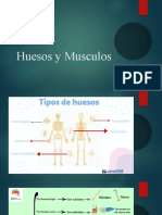 Huesos y Musculos