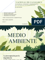 MEDIO AMBIENTE